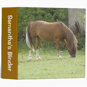 Chestnut Brown Cheval Pâturage Classeur personnali