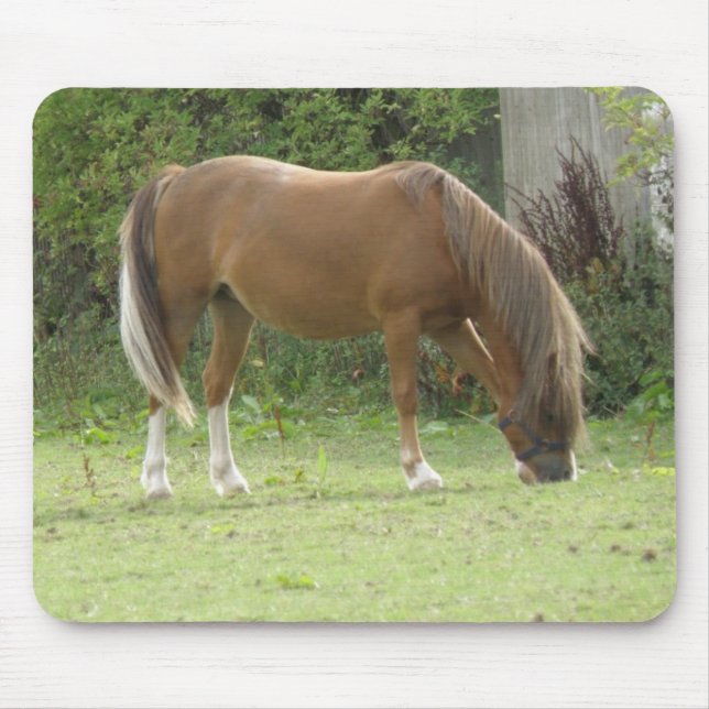 Chestnut Brown Horse Grazing Mousepad (Front)