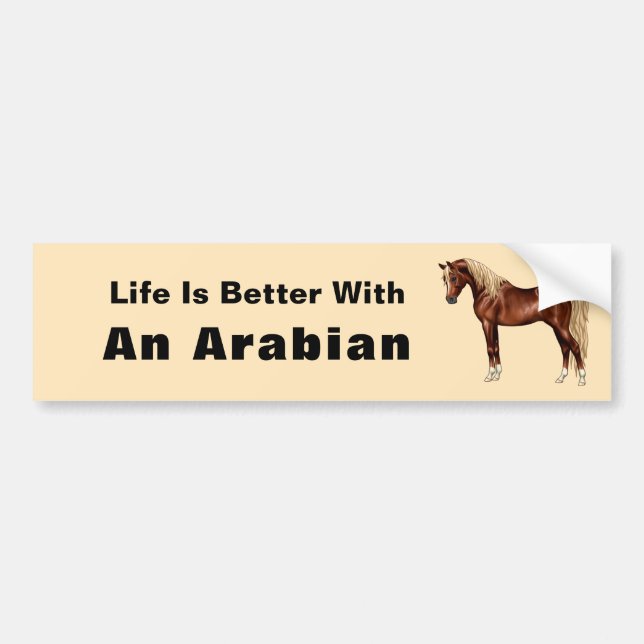 Chestnut Egyptian Arabian Horse Flaxen Mane & Tail Bumper Sticker (Front)