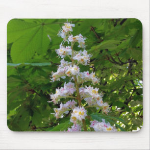 chestnut flower mouse pad