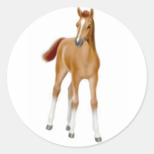 Chestnut Foal Sticker