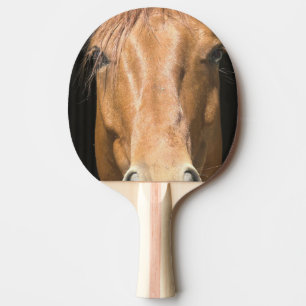 chestnut-horse-4 ping pong paddle