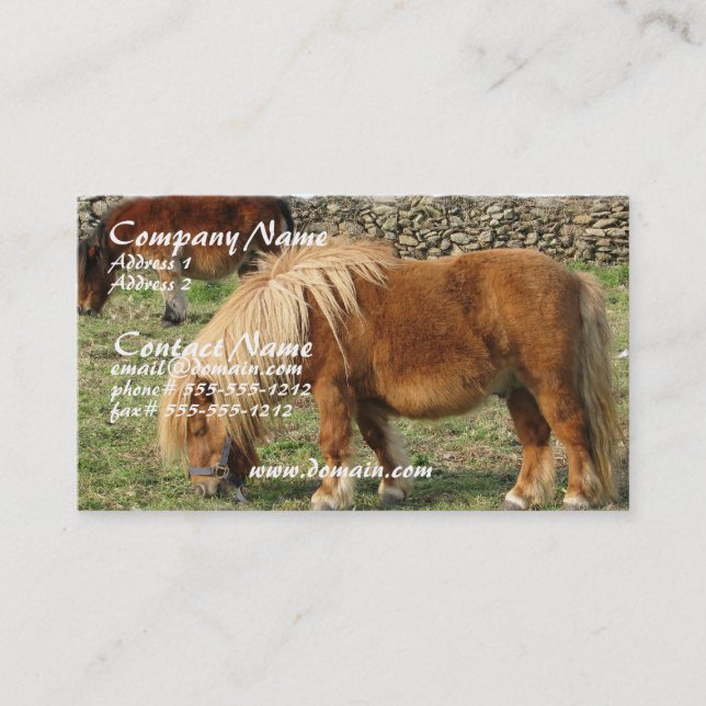Chestnut Horse Business Card (Front)