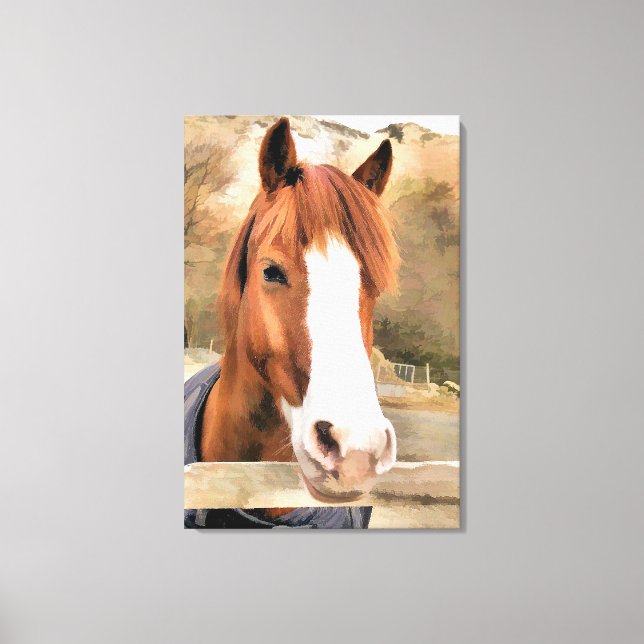 CHESTNUT HORSE CANVAS PRINT (Front)