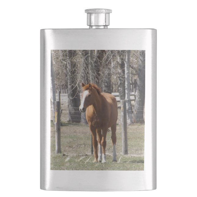 Chestnut Horse Flask (Front)