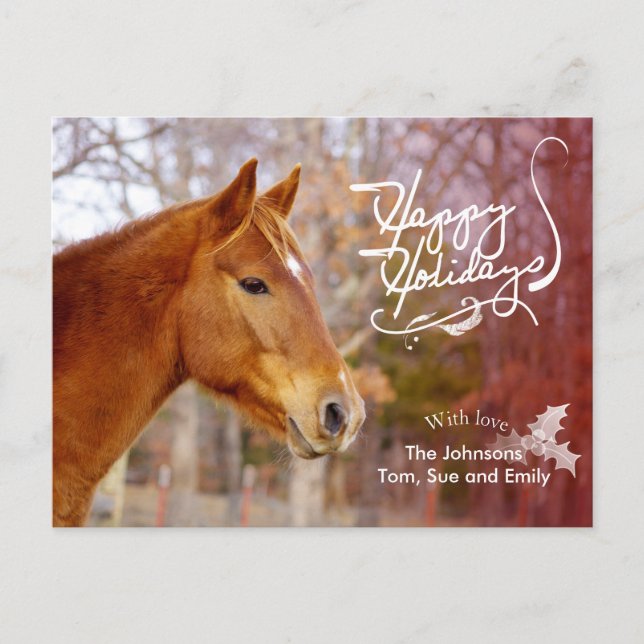 Chestnut Horse Holiday Photo Postcards (Front)