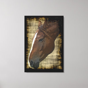 Chestnut Horse Illustrative Grunge-style Art Canvas Print