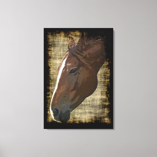 Chestnut Horse Illustrative Grunge-style Art Canvas Print (Front)