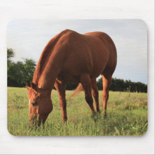 Chestnut Horse Mousepad