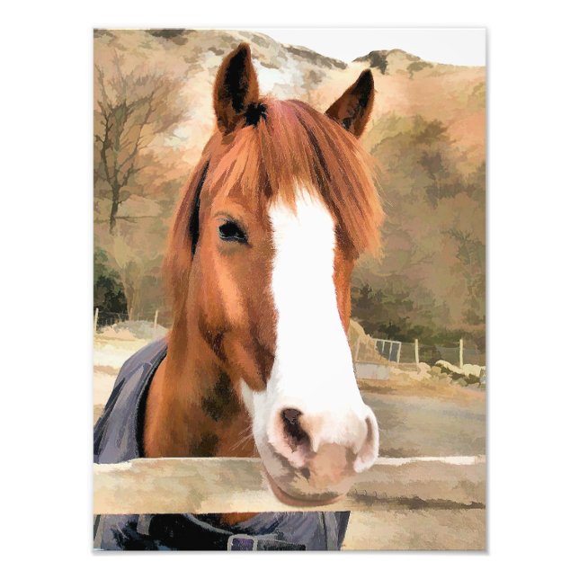 CHESTNUT HORSE PHOTO PRINT (Front)