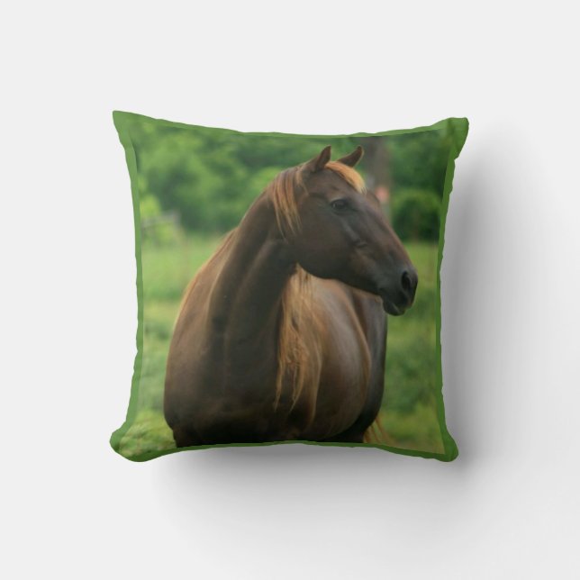 Chestnut Horse Pillow (Front)