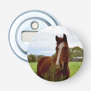 Chestnut Horse Sniffing A Banksia Tree, Bottle Opener