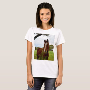 Chestnut Horse Sniffing A Banksia Tree, T-Shirt