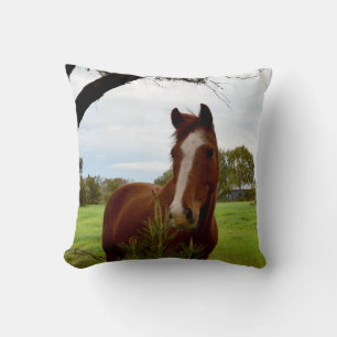 Chestnut Horse Sniffing A Banksia Tree, Throw Pillow