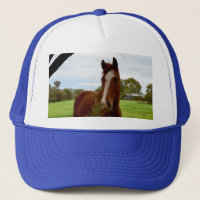 Chestnut Horse Sniffing A Banksia Tree,