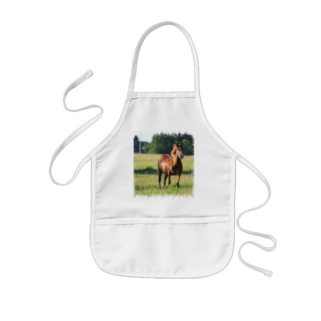 Chestnut Horse Standing Apron (Front)