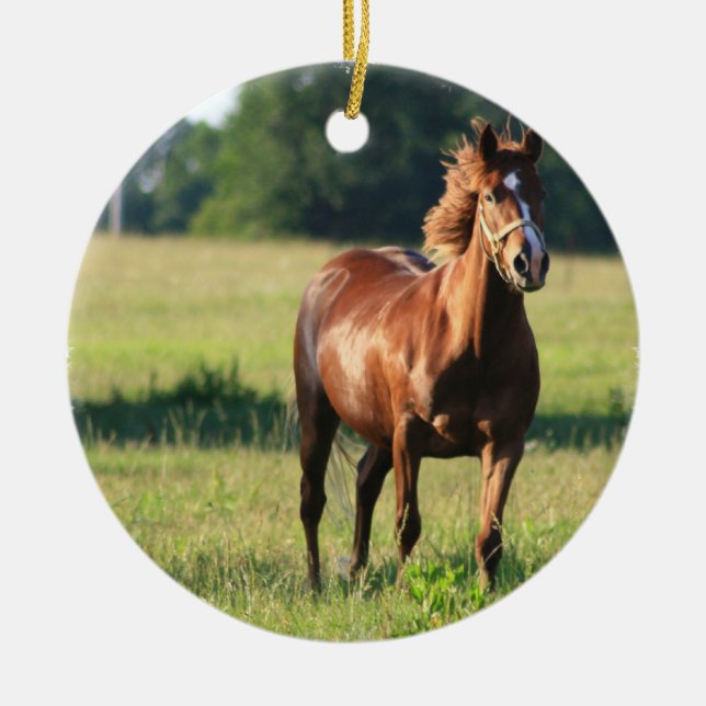 Chestnut Horse Standing Ornament (Front)
