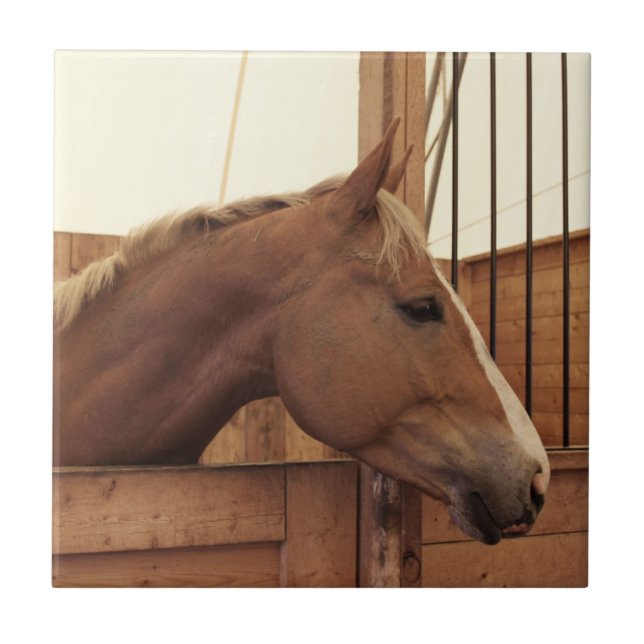Chestnut Horse with Blaze in Stall Tile (Front)