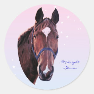 Chestnut Horse with White Star Classic Round Sticker