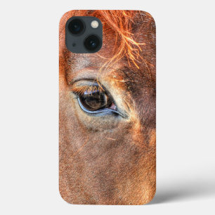 Chestnut Horse's Eye Equine Photo IV iPhone 13 Case