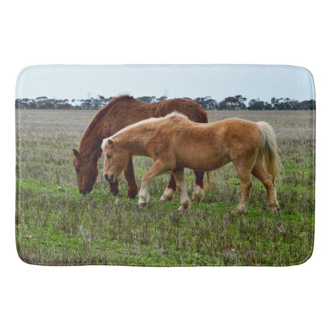 Chestnut Mare And Palomino Foal, Bath Mat (Front)