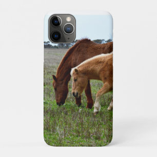 Chestnut Mare And Palomino Foal, iPhone 11 Pro Case