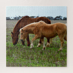 Chestnut Mare And Palomino Foal, Jigsaw Puzzle