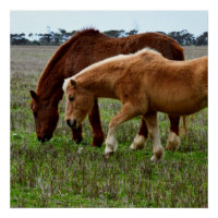 Chestnut Mare And Palomino Foal,