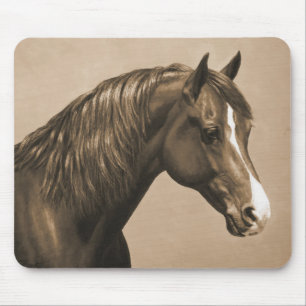 Chestnut Morgan Horse in Sepia Mouse Pad