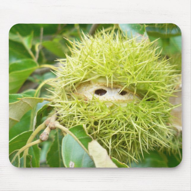 Chestnut Mouse Pad (Front)