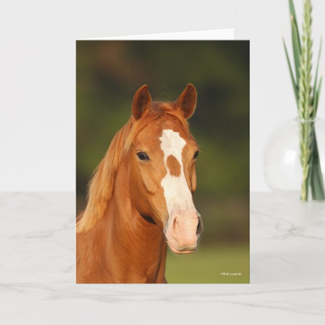 Chestnut Oldenburg Cross Welsh Headshot Card (Front)