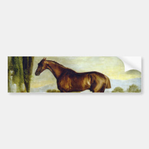 Chestnut Racehorse in a Landscape (George Stubbs) Bumper Sticker
