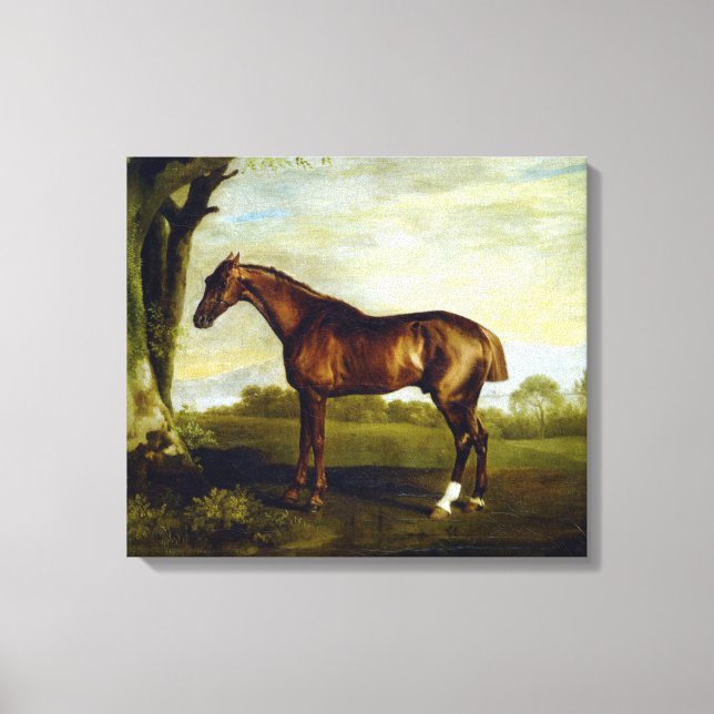Chestnut Racehorse in a Landscape (George Stubbs) Canvas Print (Front)