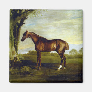 Chestnut Racehorse in a Landscape (George Stubbs) Magnet
