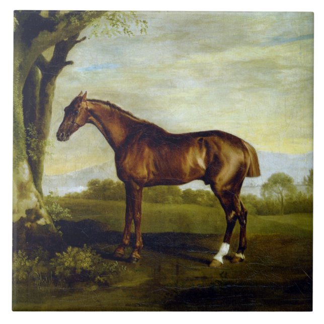 Chestnut Racehorse in a Landscape (George Stubbs) Tile (Front)