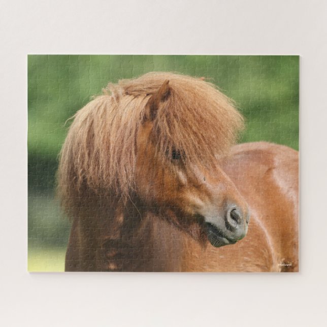 Chestnut Shetland Pony Stallion Headshot Jigsaw Puzzle (Horizontal)