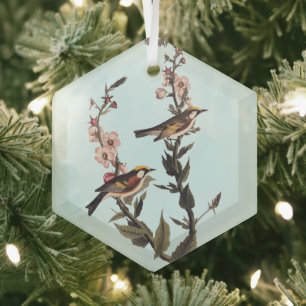 Chestnut-Sided Warbler Audubon Bird on Wildflower Glass Ornament
