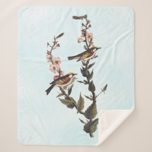 Chestnut-Sided Warbler Audubon Bird on Wildflower Sherpa Blanket