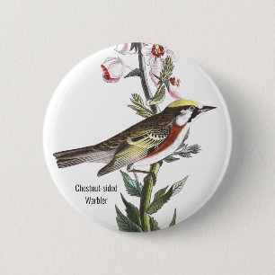 Chestnut-sided Warbler, Audubon, Birdwatcher Bird 2 Inch Round Button