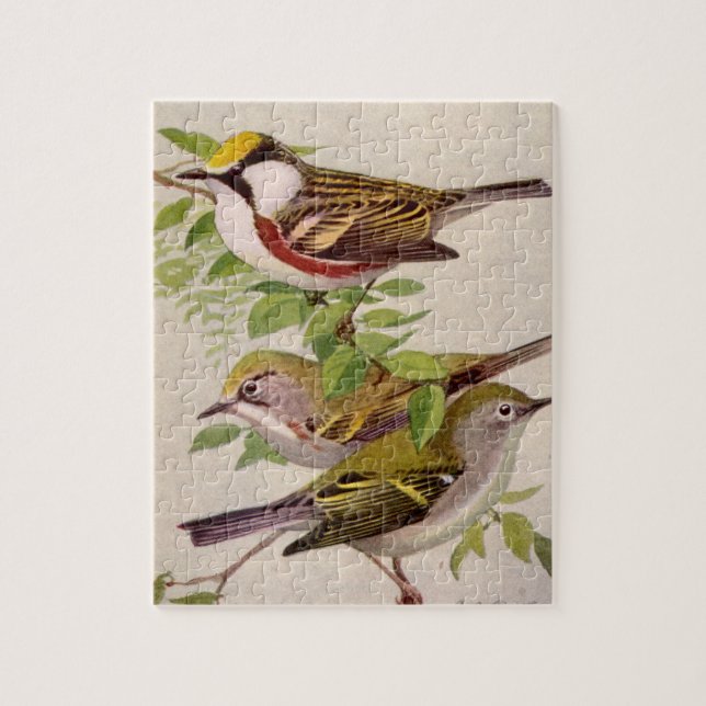 Chestnut-sided Warbler by Louis Agassiz Fuertes Jigsaw Puzzle (Vertical)