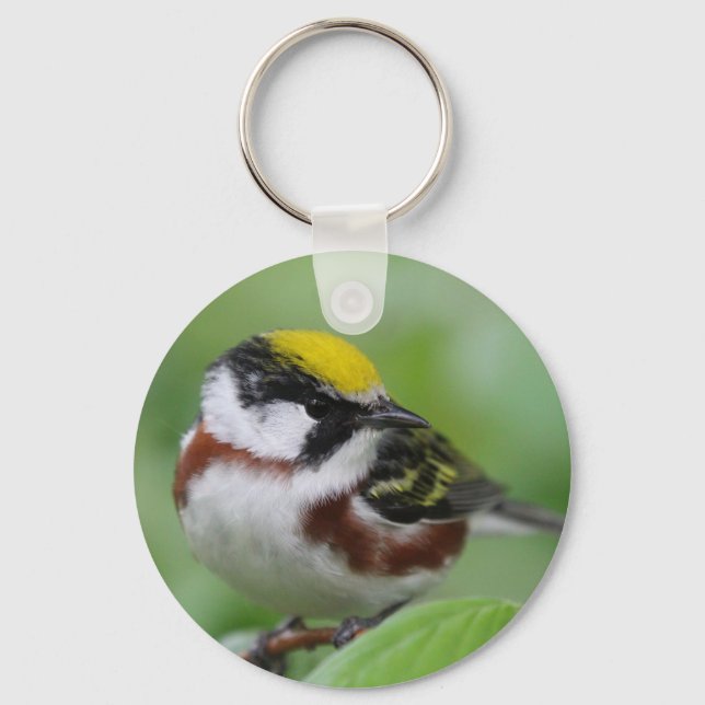 Chestnut-sided Warbler Keychain (Front)