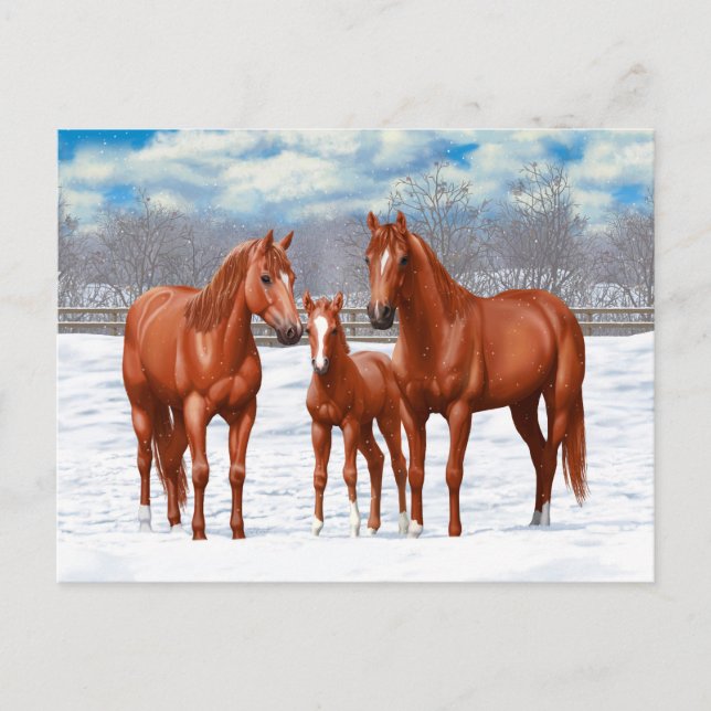 Chestnut Sorrel Quarter Horses In Snow Postcard (Front)