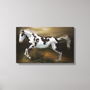 Chestnut Splash Frame Tovero Paint Horse Canvas Print