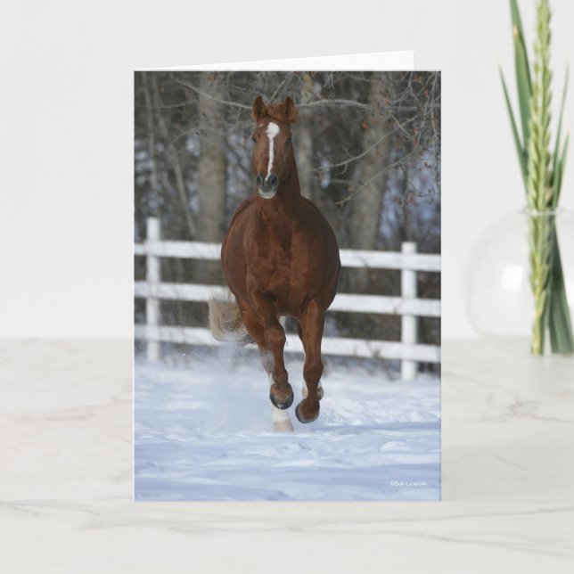 Chestnut Trakehner Stallion In The Snow Card (Front)