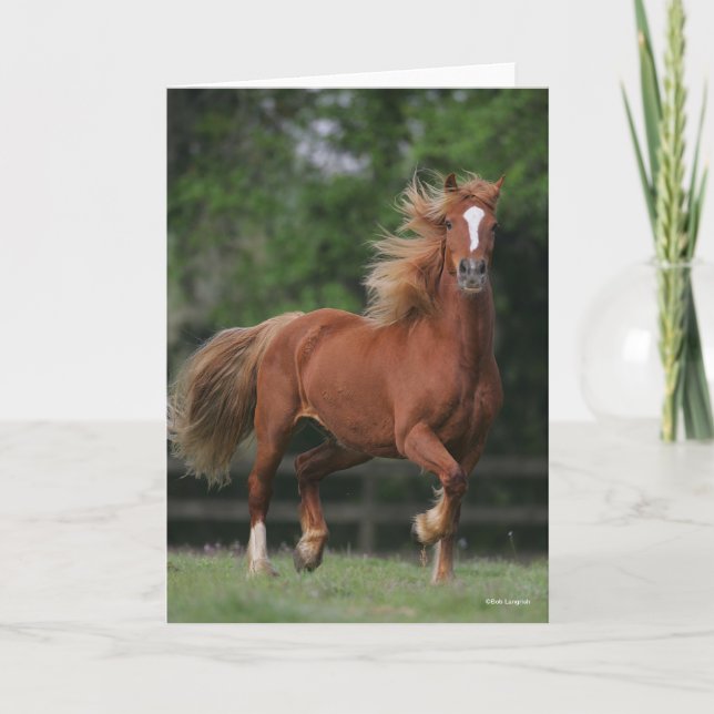 Chestnut Welsh Pony Mane and Tail Flowing Card (Front)