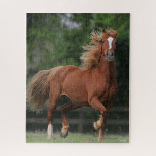 Chestnut Welsh Pony Mane and Tail Flowing Jigsaw Puzzle