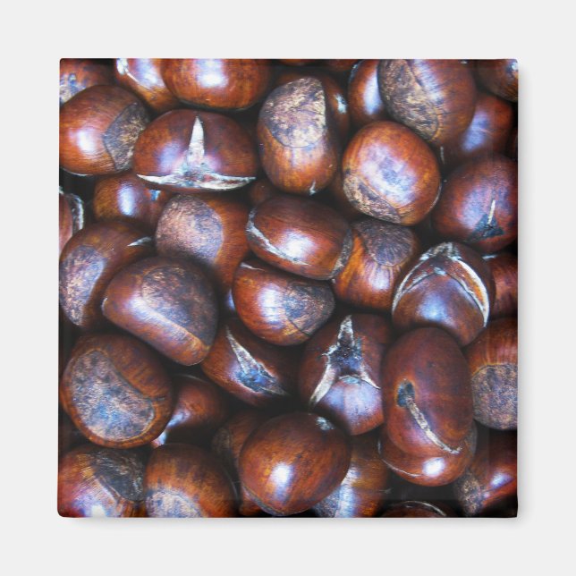 Chestnuts Magnet (Front)