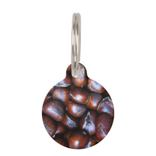 Chestnuts Pet Tag