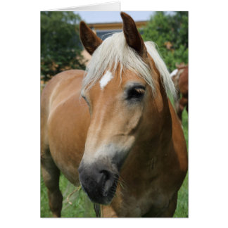 cheval
