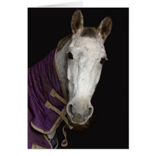 Cheval